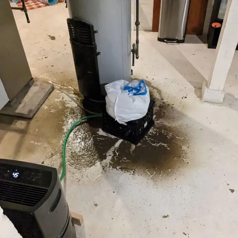 Sewage Backup Cleanup Service in Kimball, NE